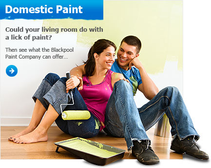 Domestic Paint